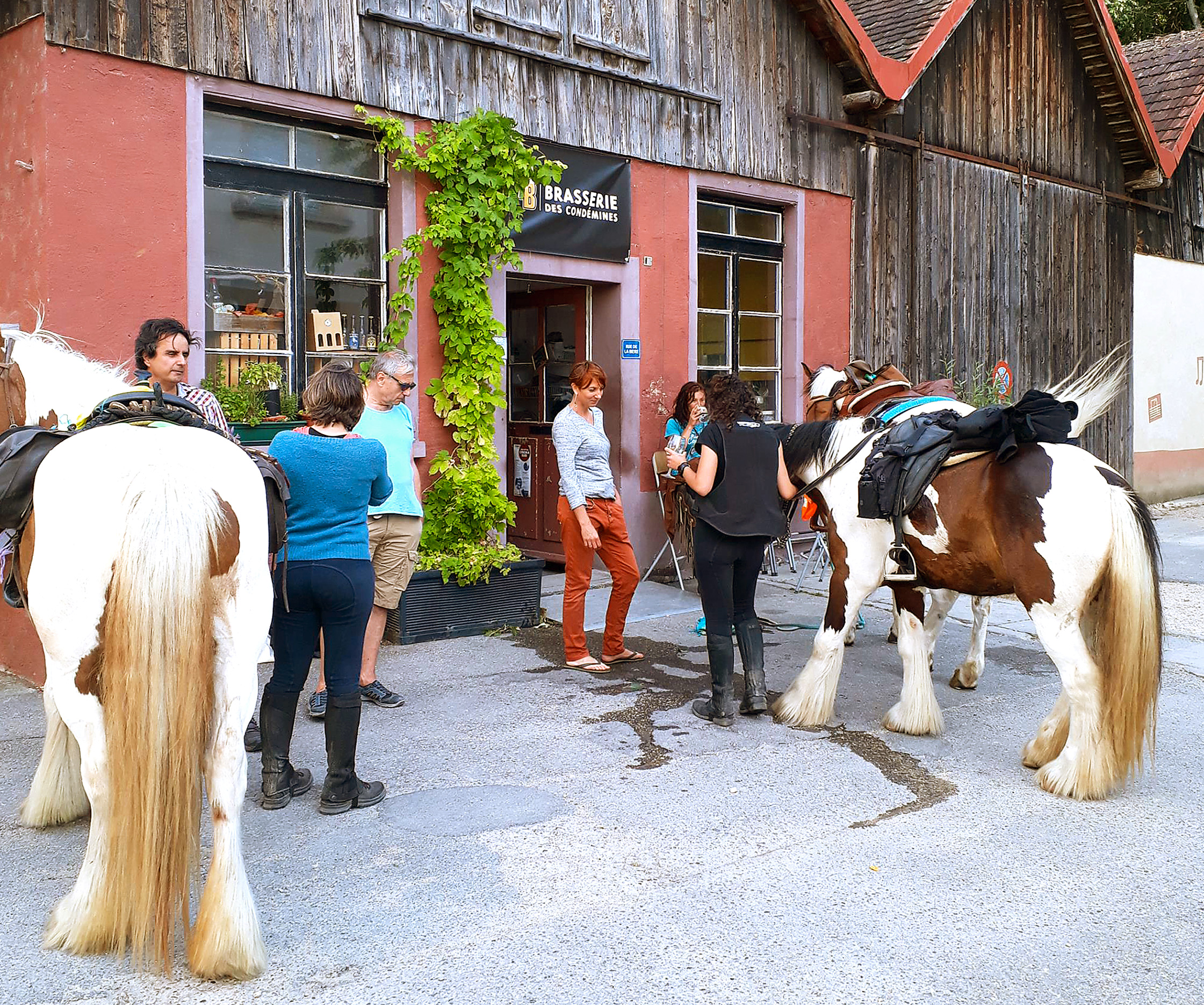 MEDIA Brasserie des Condémines - Les chevaux font une pause !
